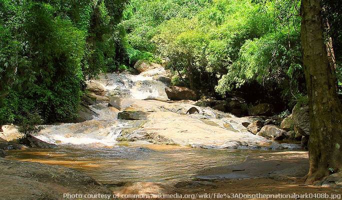 Doi Suthep-Pui National Park Trekking Tour in Chiang Mai (Full Day)