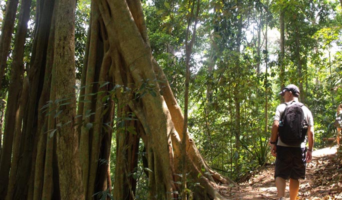Doi Suthep-Pui National Park Half Day Private Tour in Chiang Mai (+Lunch) (+ Hotel Transfer)