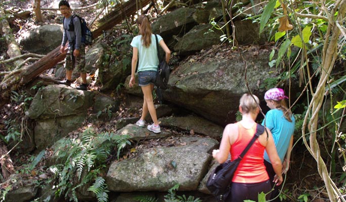 Doi Suthep-Pui National Park Half Day Private Tour in Chiang Mai (+Lunch) (+ Hotel Transfer)