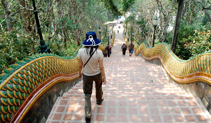 Doi Suthep-Pui National Park Half Day Private Tour in Chiang Mai (+Lunch) (+ Hotel Transfer)