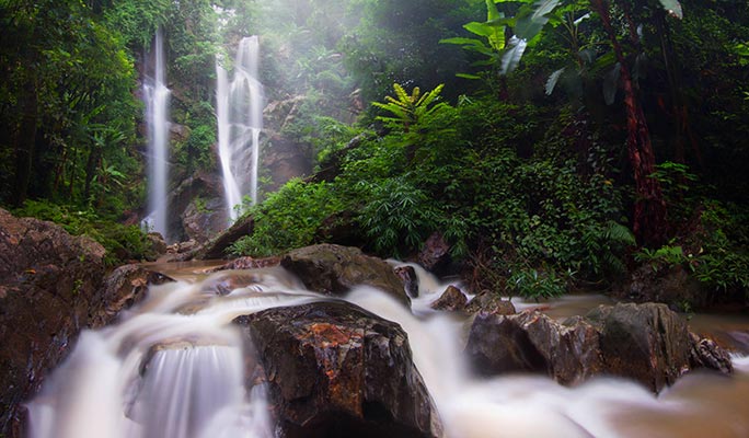 Doi Suthep-Pui National Park Half Day Private Tour in Chiang Mai (+Lunch) (+ Hotel Transfer)