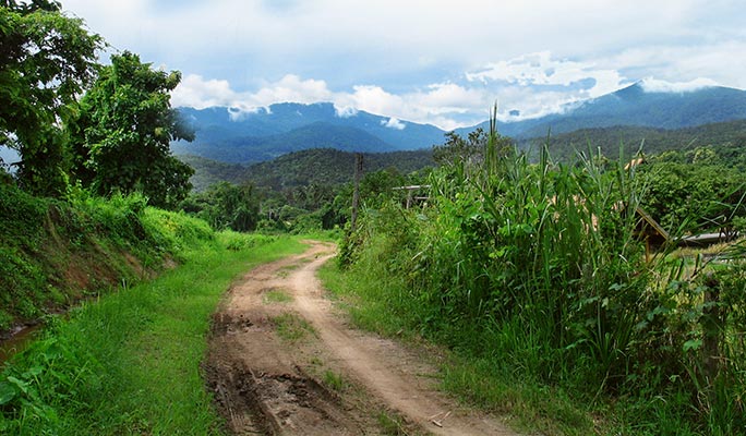 Doi Suthep-Pui National Park Half Day Private Tour in Chiang Mai (+Lunch) (+ Hotel Transfer)