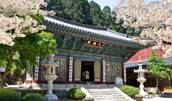 Spring Special: Jeonju Hanok Village & Gwangyang Plum Blossom/ Donghaksa Temple/ Maisan Mountain Cherry Blossom Festival - from Seoul (Mar 14~Apr 18)