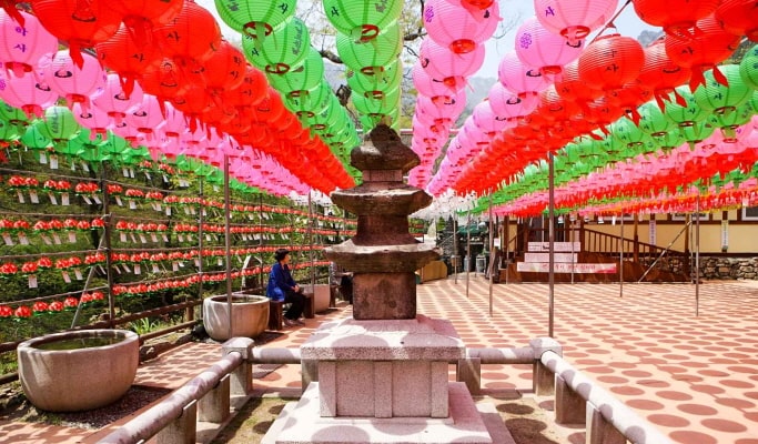 Spring Special: Jeonju Hanok Village & Gwangyang Plum Blossom/ Donghaksa Temple/ Maisan Mountain Cherry Blossom Festival - from Seoul (Mar 14~Apr 18)