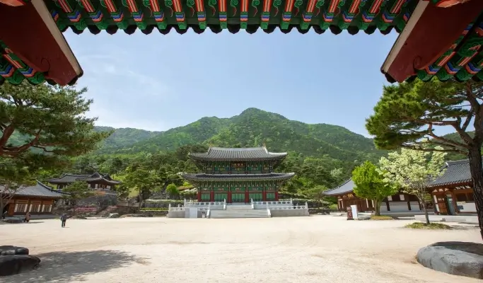 [Trazy Special] 2025 Jinju Lantern Festival & Night Market Tour (Oct 11~19) - from Seoul/ Busan