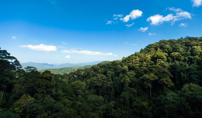 Dragon Flight Zipline - Extreme Zipline Experience in Doi Saket, Chiang Mai