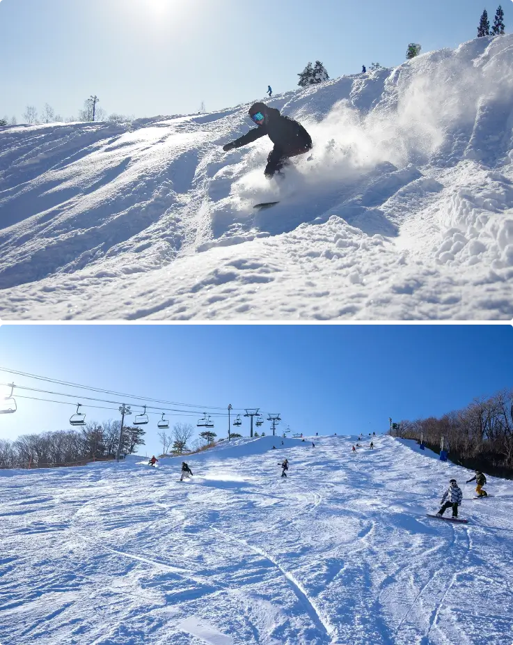 Snowboarder riding down a powdery slope under clear blue skies at Dynaland Ski Resort.