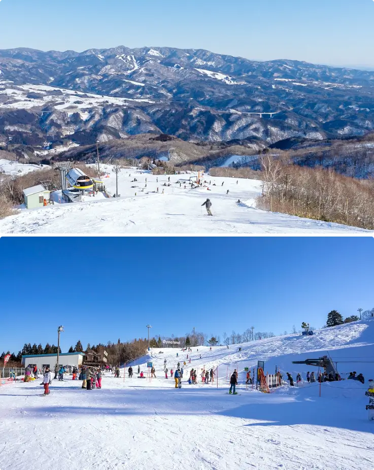 Skiers and snowboarders enjoying panoramic snowy mountain views at Dynaland.