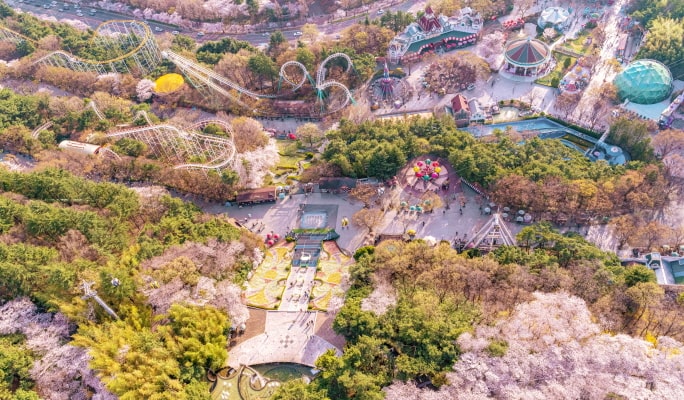 Spring Special: Daegu E-World Cherry Blossom Tour - from Busan (Mar 25~Apr 7)