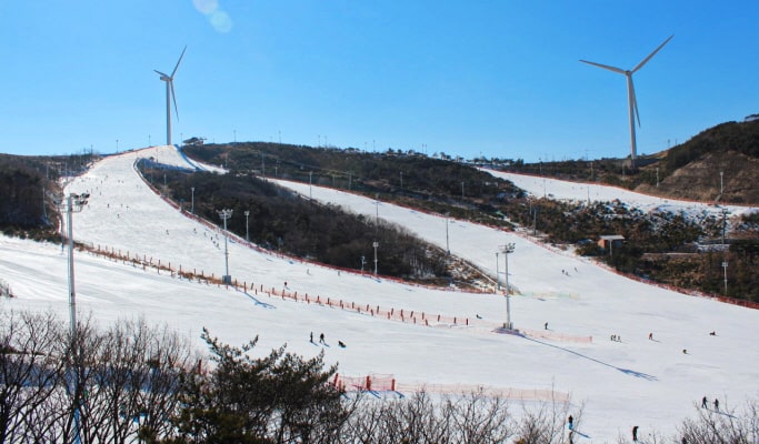 エデンバレーリゾート：釜山発スキー/スノーボード＆雪そり1日ツアー