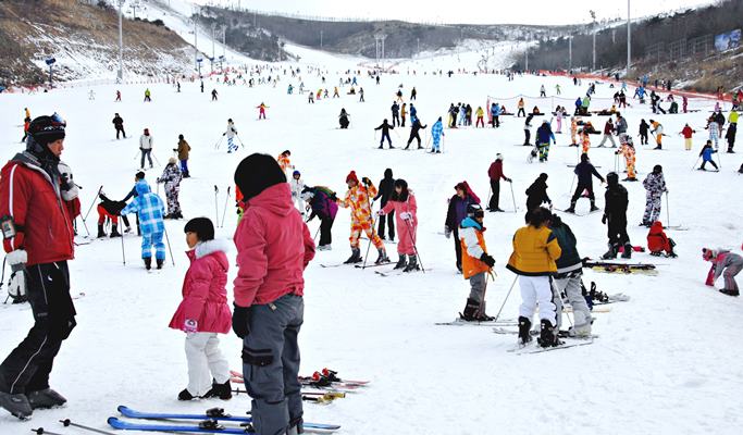 Night Ski/Snowboard Tour (+Basic Lesson): Eden Valley Ski Resort - from Busan