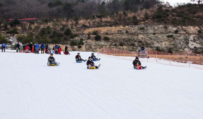 1 Day Ski/Snowboard/Snow Sled Tour: Eden Valley Resort from Busan