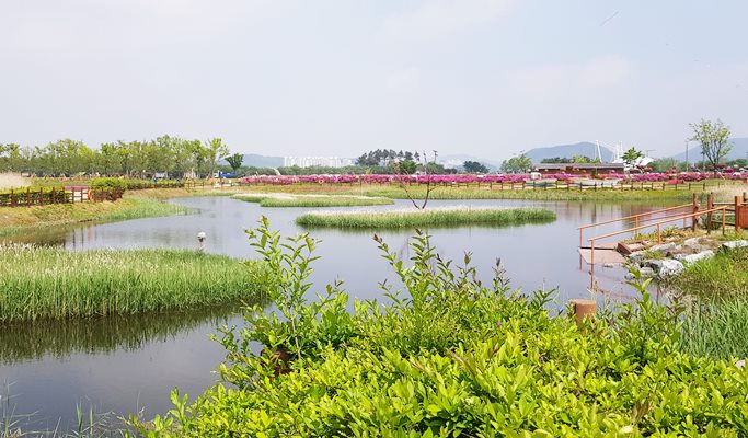 EG Tour Bus: Horse Back Riding or Winery Tour & Bottle Craft + Siheung Gaetgol Ecological Park + Gwangmyeong Cave 1 Day Tour - from Seoul