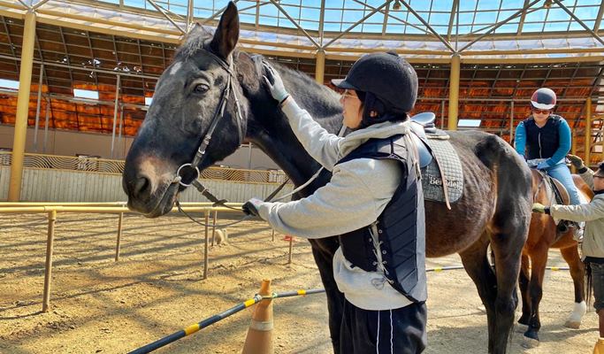 EG Tour Bus: Horse Back Riding or Winery Tour & Bottle Craft + Siheung Gaetgol Ecological Park + Gwangmyeong Cave 1 Day Tour - from Seoul