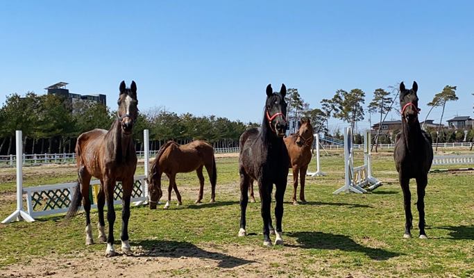 EG Tour Bus: Horse Back Riding or Winery Tour & Bottle Craft + Siheung Gaetgol Ecological Park + Gwangmyeong Cave 1 Day Tour - from Seoul