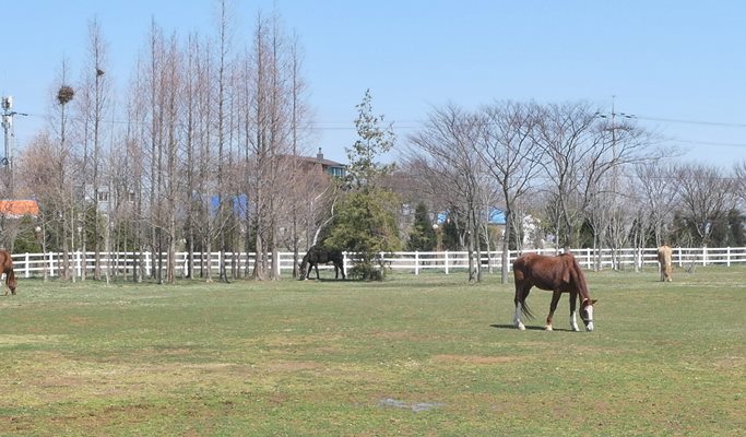 EG Tour Bus: Horse Back Riding or Winery Tour & Bottle Craft + Siheung Gaetgol Ecological Park + Gwangmyeong Cave 1 Day Tour - from Seoul