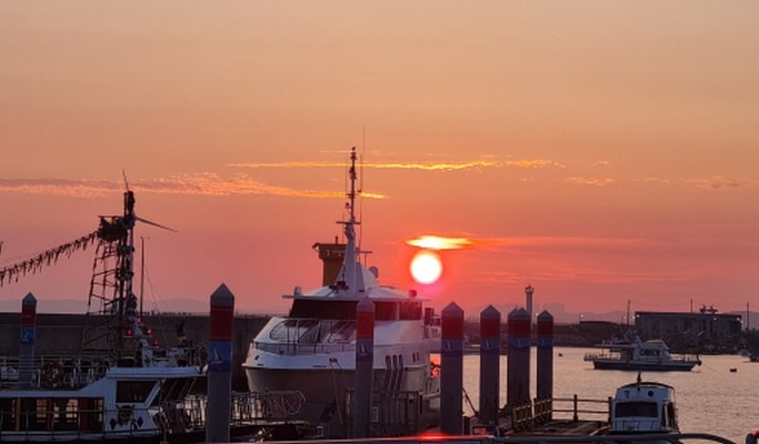 Siheung Wave Park & Sunset Yacht Tour Package (+ Surfing Lesson option) - EG Tour Bus