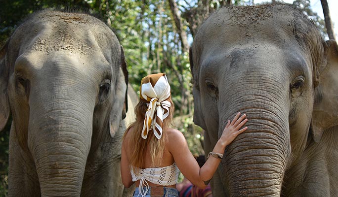 Koh Samui Elephant Jungle Sanctuary Visit (Morning/Afternoon) (+ Hotel Transfer)