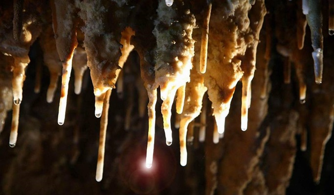 Phang Nga Phung Chang Cave + 3 Temples 1 Day Tour - from Khao Lak (+Lunch/Transfer)