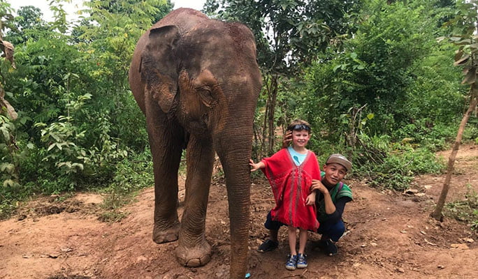 Chiang Mai Elephant Sanctuary Visit: Bathe, Swim & Hand Feed Elephants (Half Day / Full Day)
