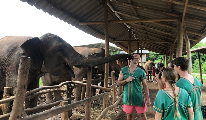 Chiang Mai Elephant Sanctuary Visit: Bathe, Swim & Hand Feed Elephants (Half Day / Full Day)