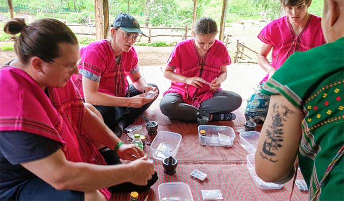 Chiang Mai Elephant Sanctuary + Authentic Thai Cooking Class (+ Lunch & Dinner) (+ Hotel Transfer)