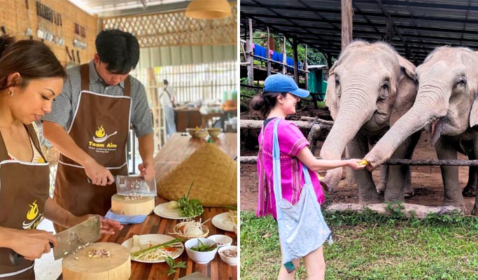 Chiang Mai Elephant Sanctuary + Authentic Thai Cooking Class (+ Lunch & Dinner) (+ Hotel Transfer)