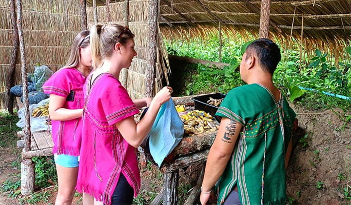 Chiang Mai Elephant Sanctuary + Authentic Thai Cooking Class (+ Lunch & Dinner) (+ Hotel Transfer)