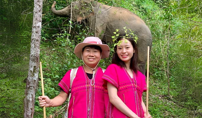 Chiang Mai Elephant Sanctuary + Authentic Thai Cooking Class (+ Lunch & Dinner) (+ Hotel Transfer)