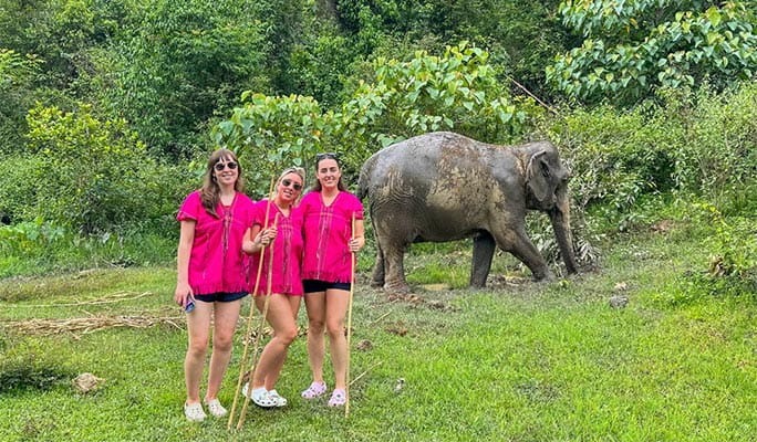 Chiang Mai Elephant Sanctuary + Doi Inthanon Hiking 1 Day Tour (+ Lunch) (+ Hotel Transfer)