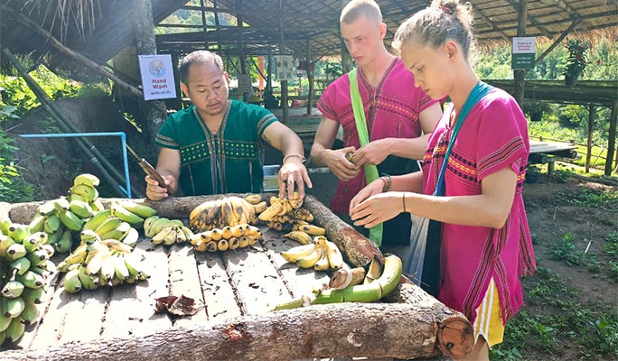 Chiang Mai Elephant Sanctuary + Doi Inthanon Hiking 1 Day Tour (+ Lunch) (+ Hotel Transfer)