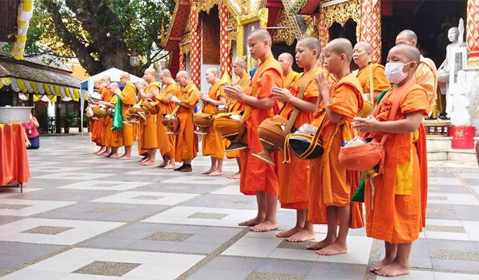 Chiang Mai Elephant Sanctuary + Doi Suthep Sunrise 1 Day Tour (+ Breakfast & Lunch) (+ Hotel Transfer)