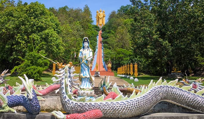 Chiang Mai Elephant Sanctuary + Doi Suthep Sunrise 1 Day Tour (+ Breakfast & Lunch) (+ Hotel Transfer)