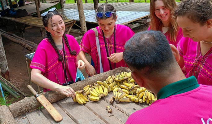 Chiang Mai Elephant Sanctuary + Doi Suthep Sunrise 1 Day Tour (+ Breakfast & Lunch) (+ Hotel Transfer)