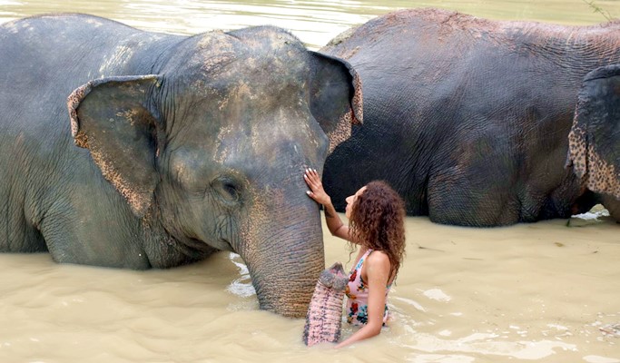 Pattaya Elephant Jungle Sanctuary Visit (Morning/Afternoon) (+ Hotel Transfer)