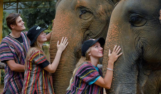 Phuket Elephant Jungle Sanctuary Visit