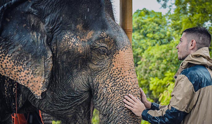 Phuket Elephant Jungle Sanctuary Visit (Morning/Afternoon) (+ Hotel Transfer)