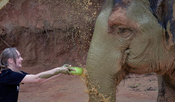 Phuket Elephant Jungle Sanctuary Visit (Morning/Afternoon) (+ Hotel Transfer)