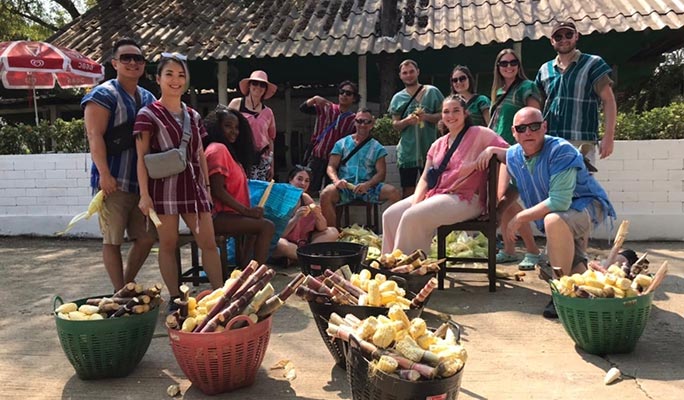 Chiang Mai Elephant Sanctuary + Zipline + River Rafting 1 Day Tour (+ Hotel Transfer)