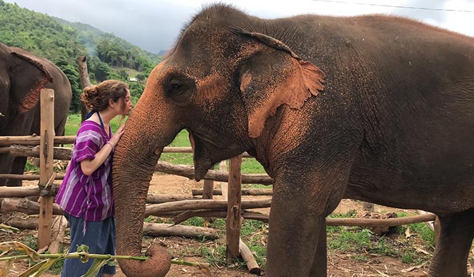 Chiang Mai Elephant Sanctuary + Zipline + River Rafting 1 Day Tour (+ Hotel Transfer)