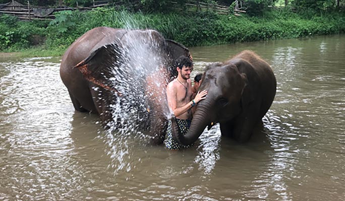 Chiang Mai Elephant Sanctuary + Zipline + River Rafting 1 Day Tour (+ Hotel Transfer)
