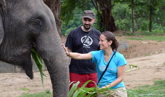 Kanchanaburi ElephantsWorld Visit (Full Day)