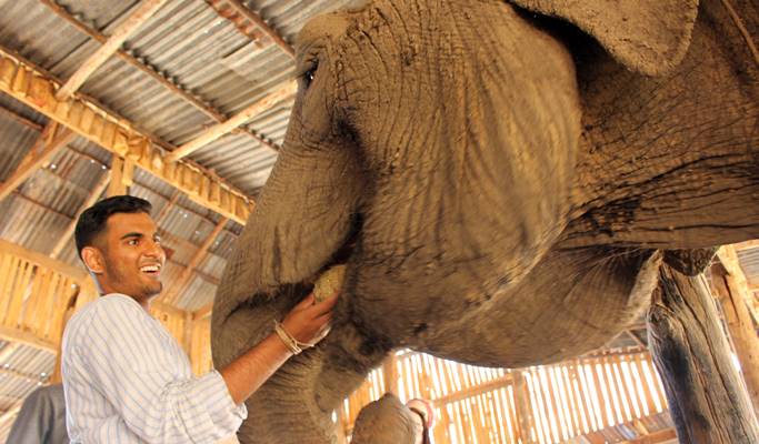 Kanchanaburi ElephantsWorld Visit (Full Day)