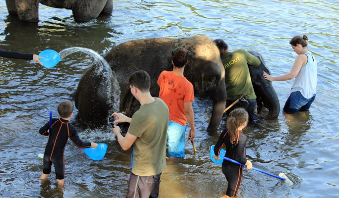 Kanchanaburi ElephantsWorld Visit (Full Day)