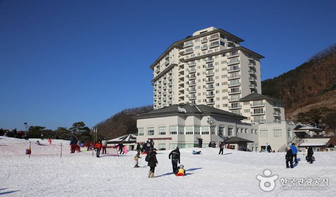 Ski Resort Transfer & Gapyeong Private Tour (Seoul ↔️ Vivaldi/ Elysian Gangchon Ski Resort)