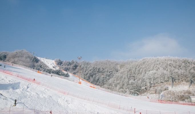 南怡島＆伊利希安江村滑雪度假村 1 日套票