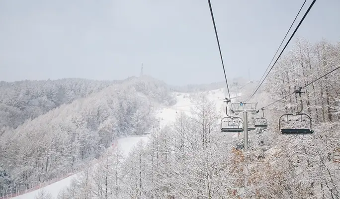 Elysian Gangchon Ski Resort (Ski/ Snowboard/ Snow Sled) + Eobi Ice Valley 1 Day Tour - from Seoul