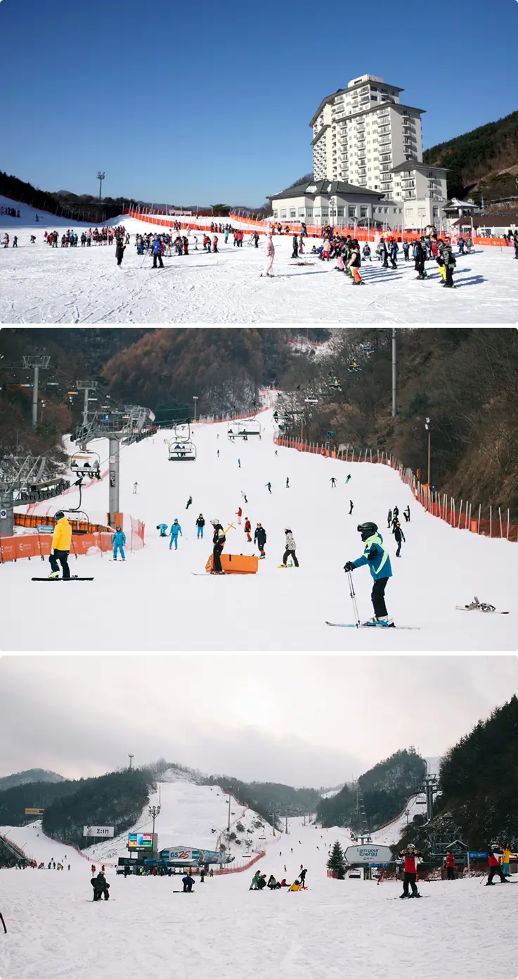 Skiers enjoying the snow on a 1 day tour to Elysian Gangchon Ski Resort.
