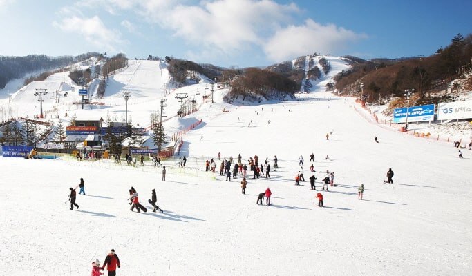 Elysian Gangchon Ski Resort: All-Inclusive Private 1 Day Tour (+ Nami Island/Garden of Morning Calm options) - from Seoul