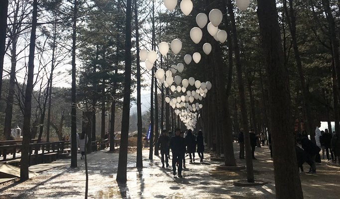 Half Day Nami Island Tour - from Elysian Ski Resort